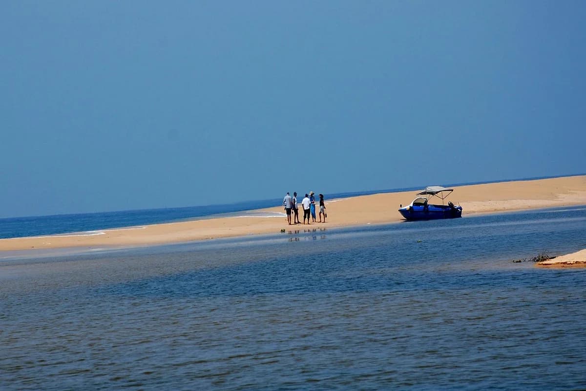 Scenic view of Poovar backwaters with traditional boat, golden beach and mangrove forests in Kerala