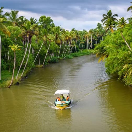 Poovar backwater boating through scenic Kerala mangrove canals