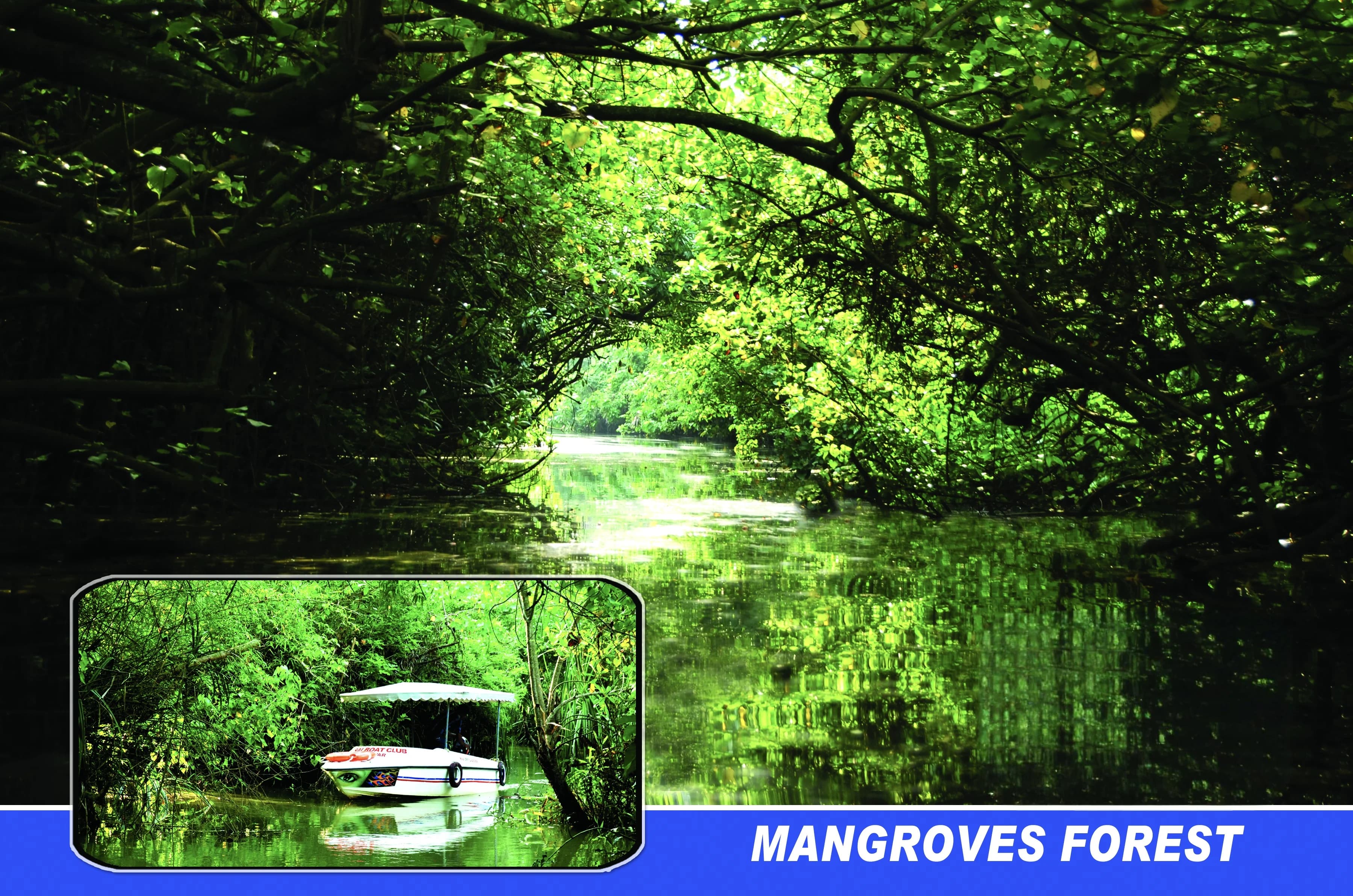 Poovar backwater boating and island cruise gallery image 3